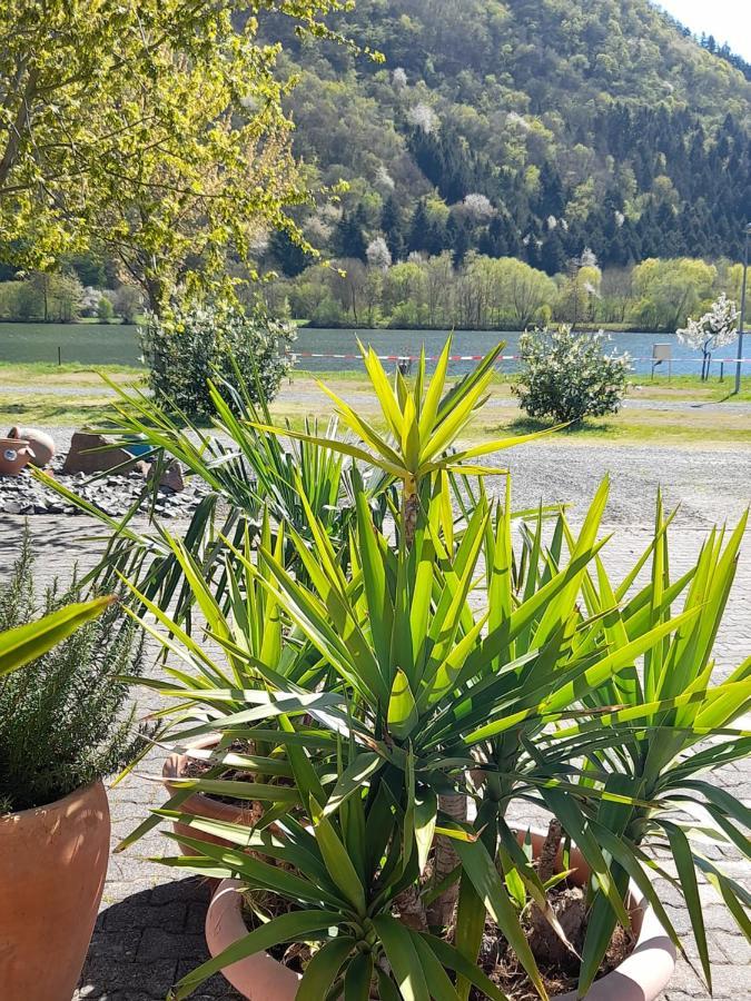 Apartment Am Moselbeach Mehring (Rhineland-Palatinate)