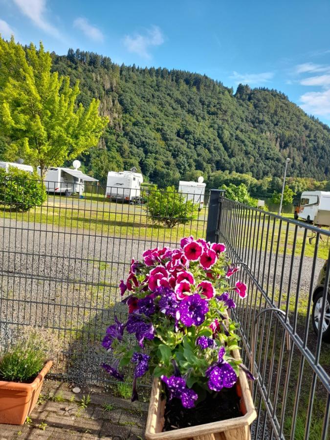 Am Moselbeach Apartment Mehring (Rhineland-Palatinate)