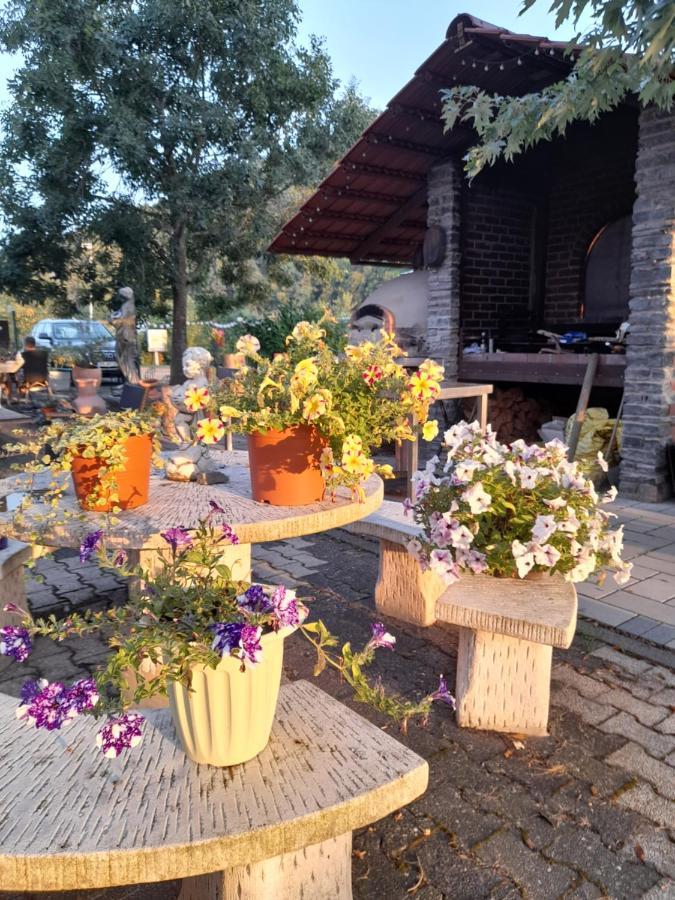 Apartment Am Moselbeach Mehring (Rhineland-Palatinate)