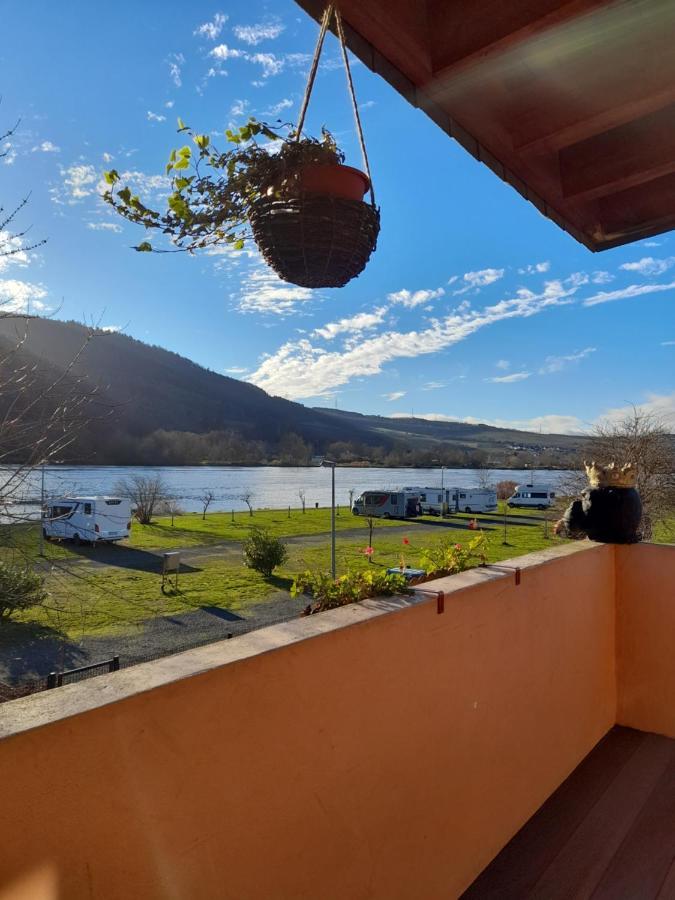 Am Moselbeach Apartment Mehring (Rhineland-Palatinate)