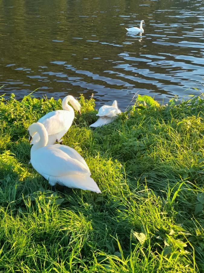 Am Moselbeach Mehring (Rhineland-Palatinate)
