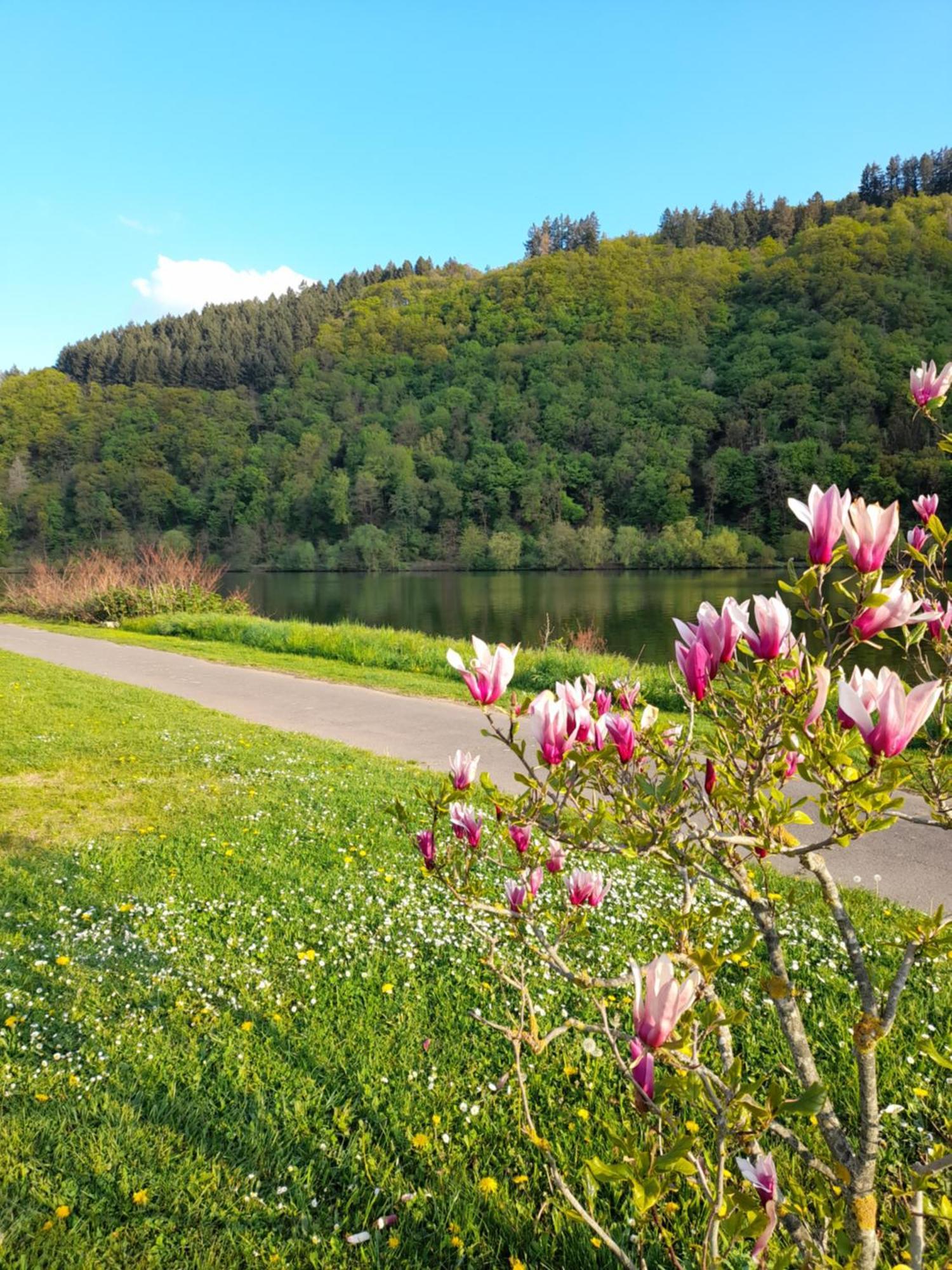 Am Moselbeach Mehring (Rhineland-Palatinate)